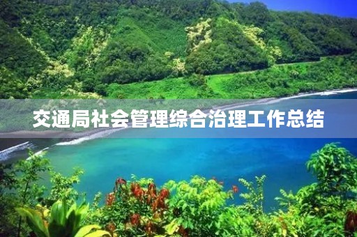 交通局社会管理综合治理工作总结
