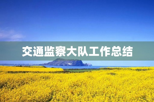 交通监察大队工作总结