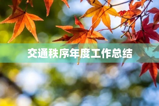 交通秩序年度工作总结