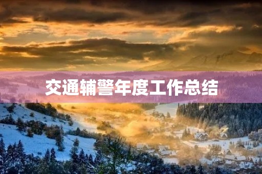 交通辅警年度工作总结