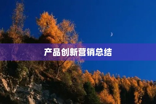 产品创新营销总结