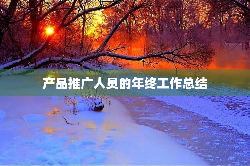 产品推广人员的年终工作总结