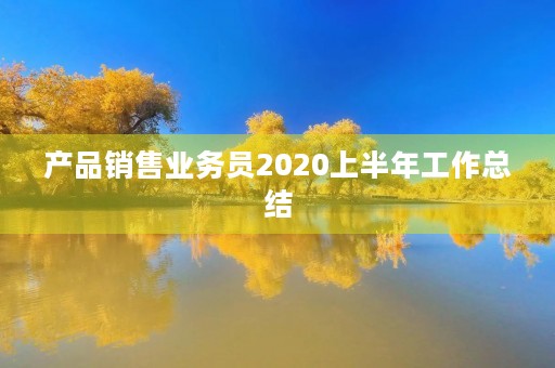 产品销售业务员2020上半年工作总结