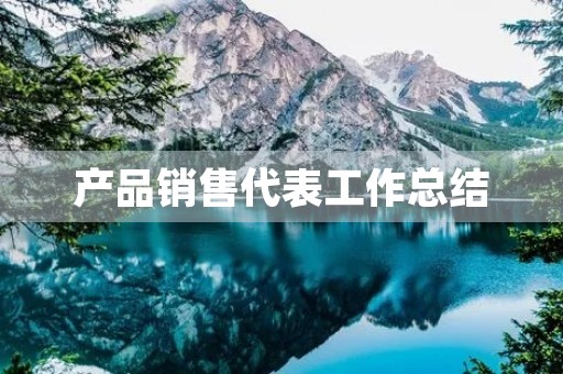 产品销售代表工作总结