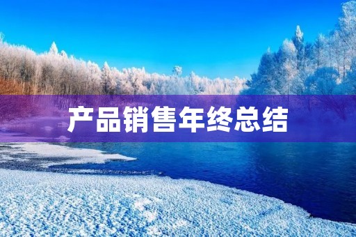 产品销售年终总结