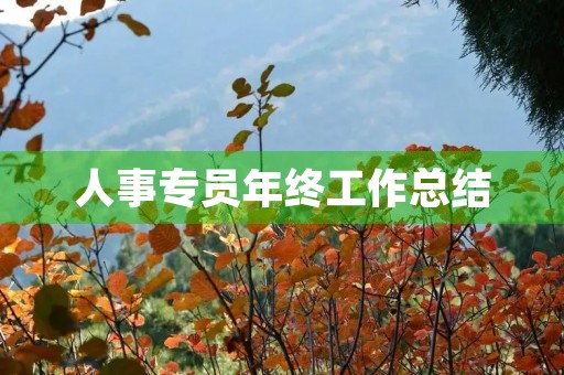 人事专员年终工作总结