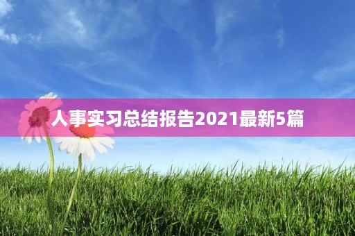 人事实习总结报告2021最新5篇