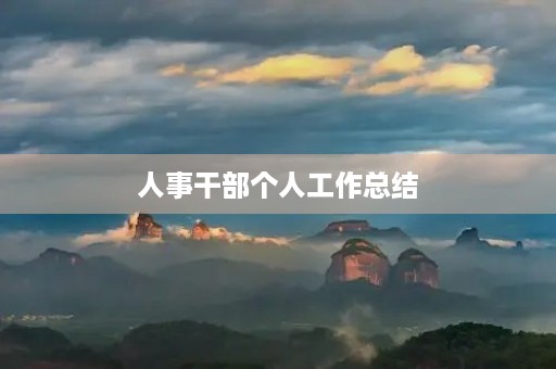 人事干部个人工作总结