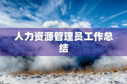 人力资源管理员工作总结