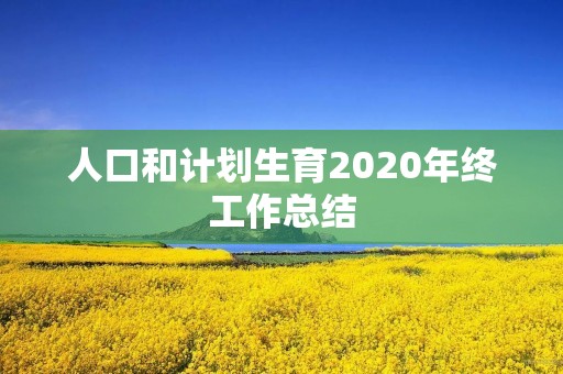 人口和计划生育2020年终工作总结