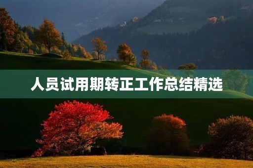 人员试用期转正工作总结精选