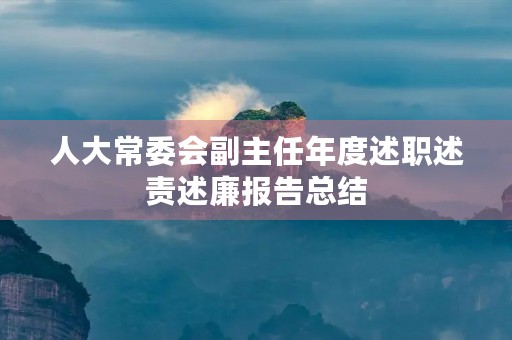 人大常委会副主任年度述职述责述廉报告总结