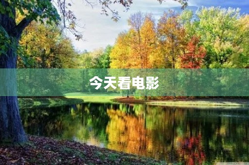 今天看电影