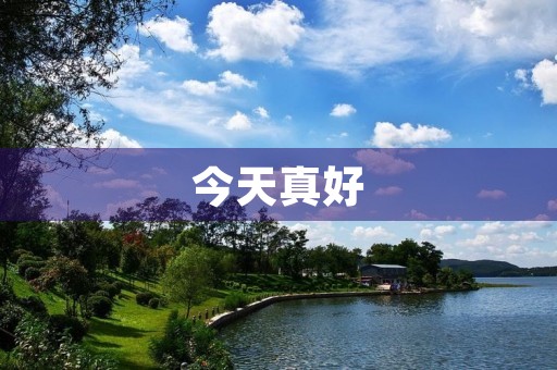 今天真好 今天真好