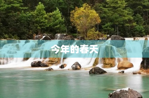 今年的春天 今年的春天