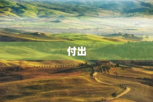 付出