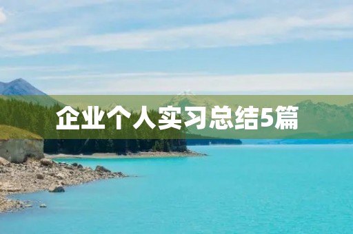 企业个人实习总结5篇