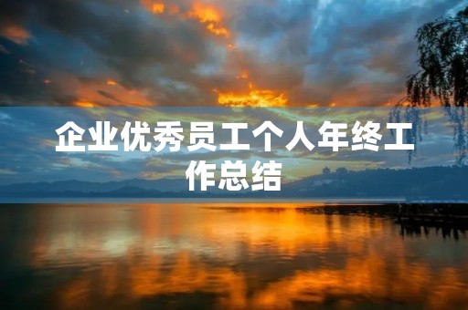 企业优秀员工个人年终工作总结 企业优秀员工个人年终工作总结