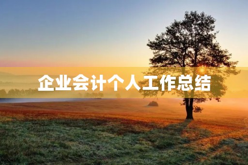 企业会计个人工作总结