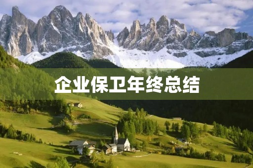 企业保卫年终总结