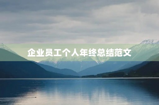 企业员工个人年终总结范文