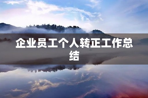 企业员工个人转正工作总结