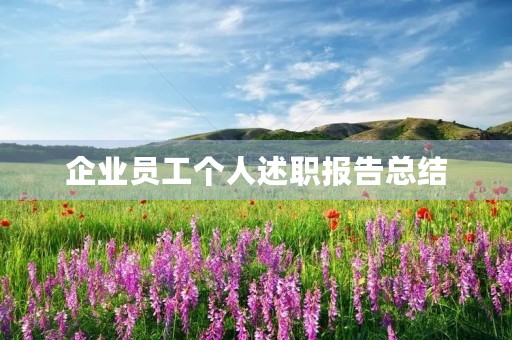 企业员工个人述职报告总结