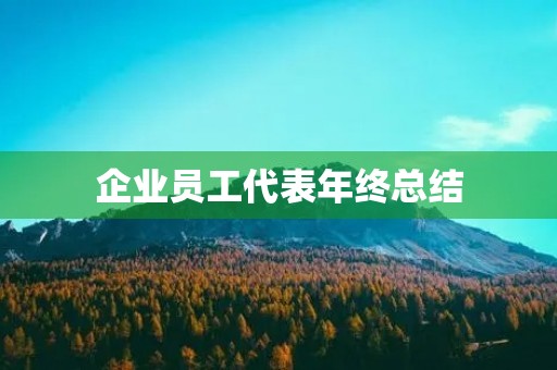 企业员工代表年终总结 企业员工代表年终总结