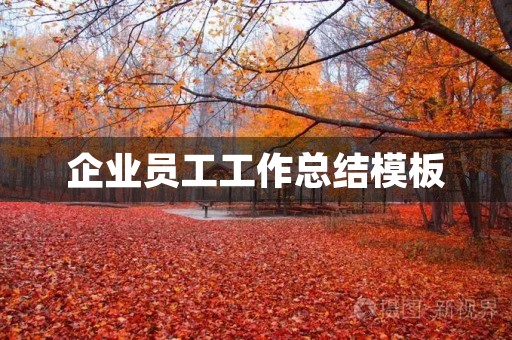 企业员工工作总结模板