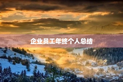企业员工年终个人总结