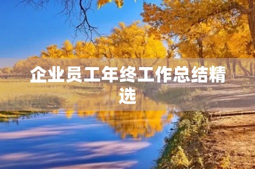 企业员工年终工作总结精选