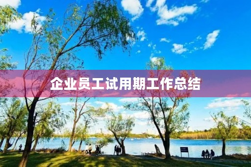 企业员工试用期工作总结