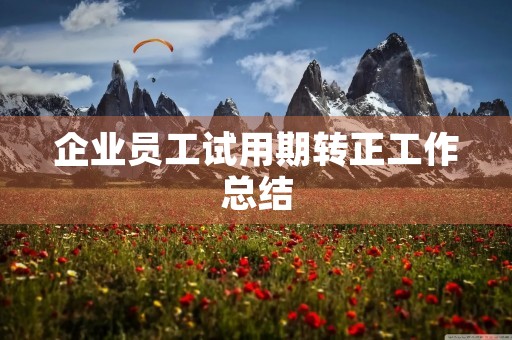企业员工试用期转正工作总结