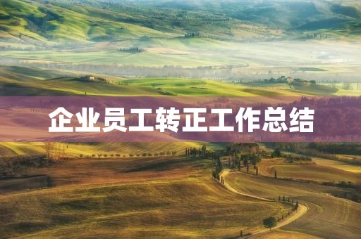 企业员工转正工作总结