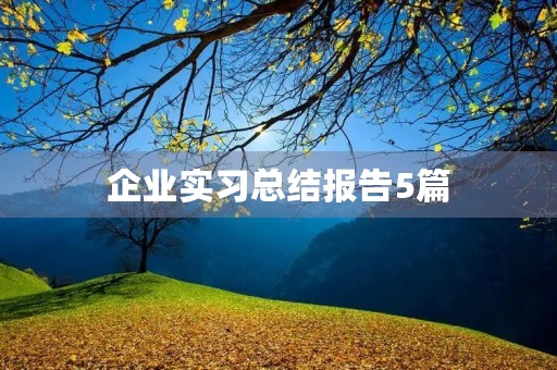 企业实习总结报告5篇 企业实习总结报告5篇