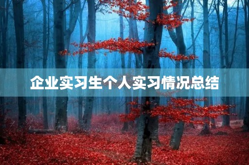 企业实习生个人实习情况总结