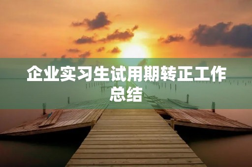 企业实习生试用期转正工作总结