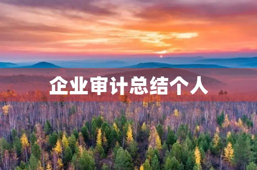 企业审计总结个人