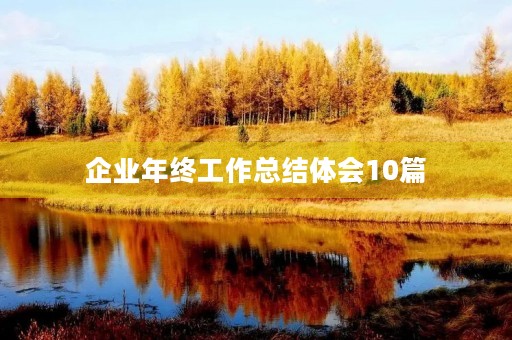 企业年终工作总结体会10篇