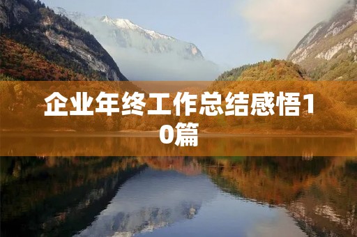 企业年终工作总结感悟10篇