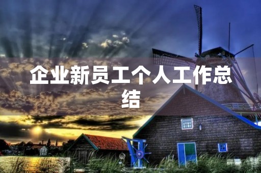 企业新员工个人工作总结