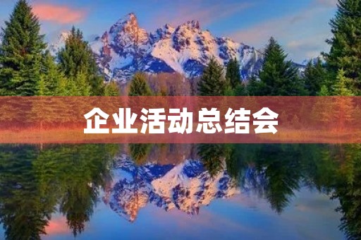 企业活动总结会