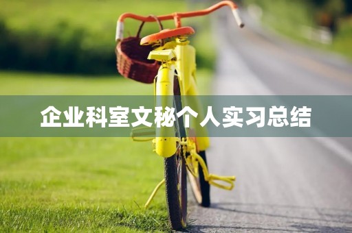 企业科室文秘个人实习总结