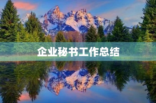 企业秘书工作总结