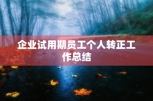 企业试用期员工个人转正工作总结