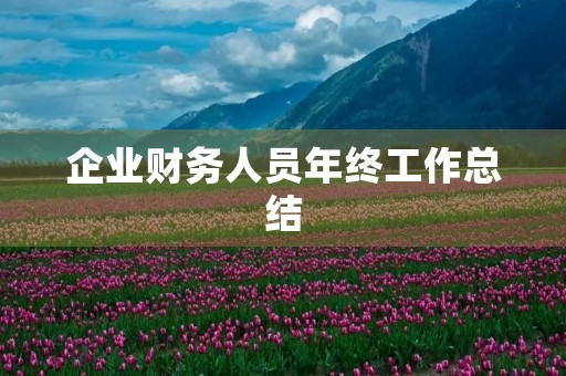 企业财务人员年终工作总结