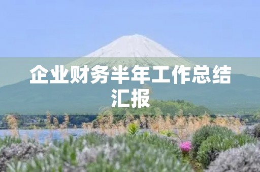 企业财务半年工作总结汇报