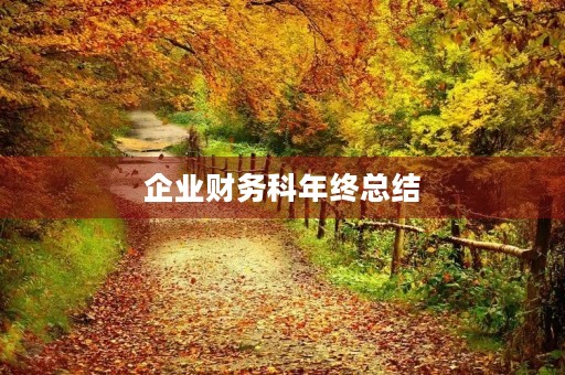 企业财务科年终总结