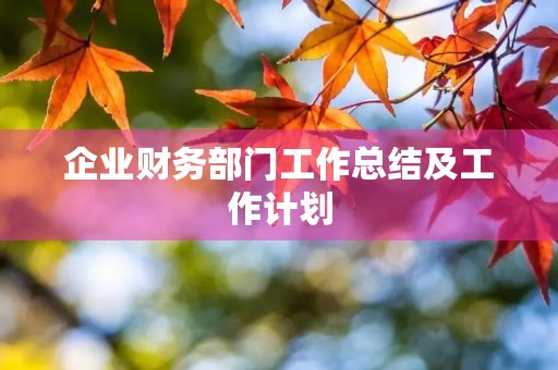 企业财务部门工作总结及工作计划