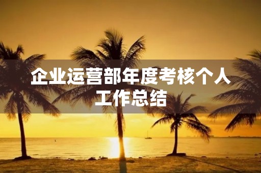 企业运营部年度考核个人工作总结